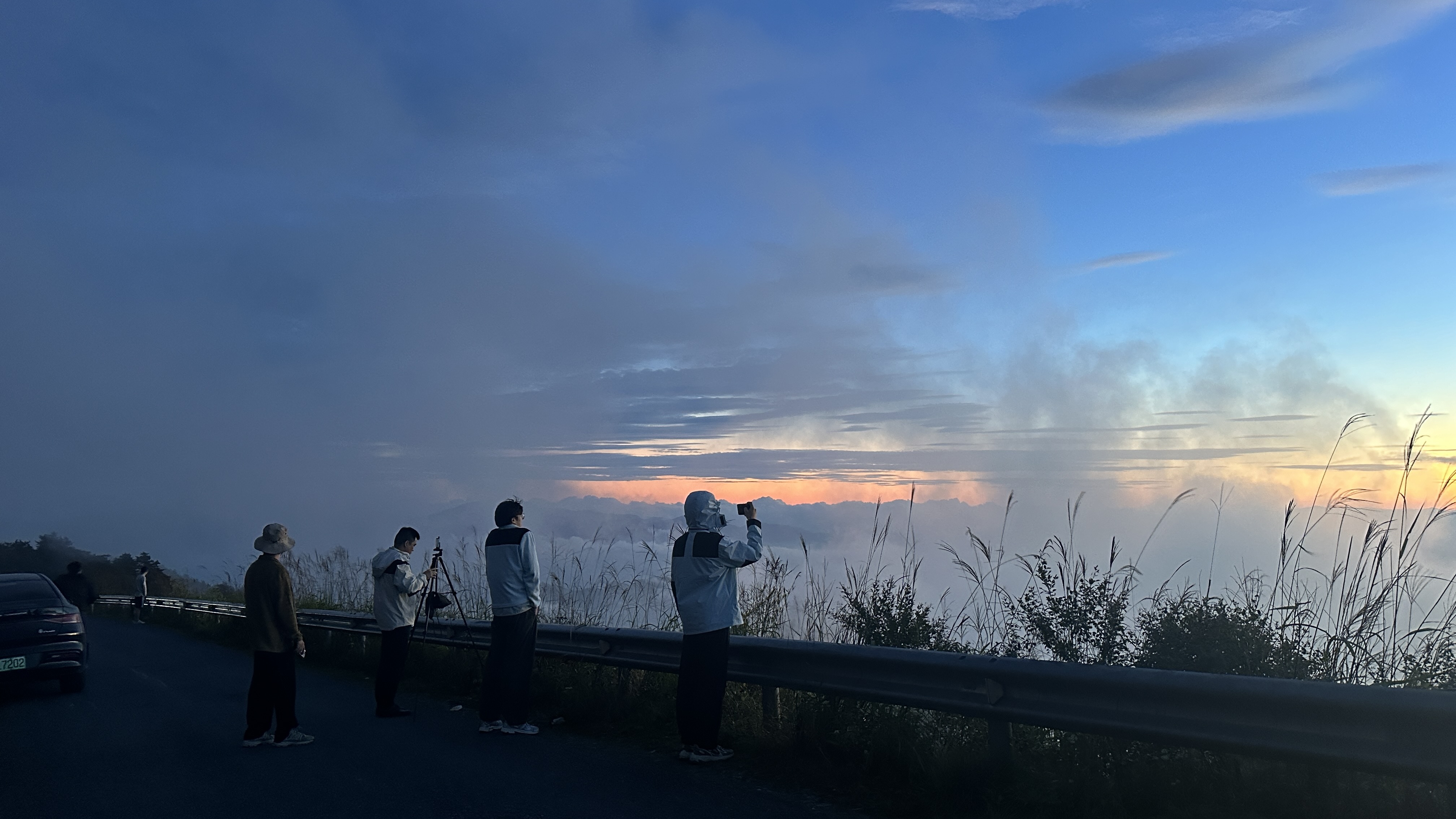 牵牛岗