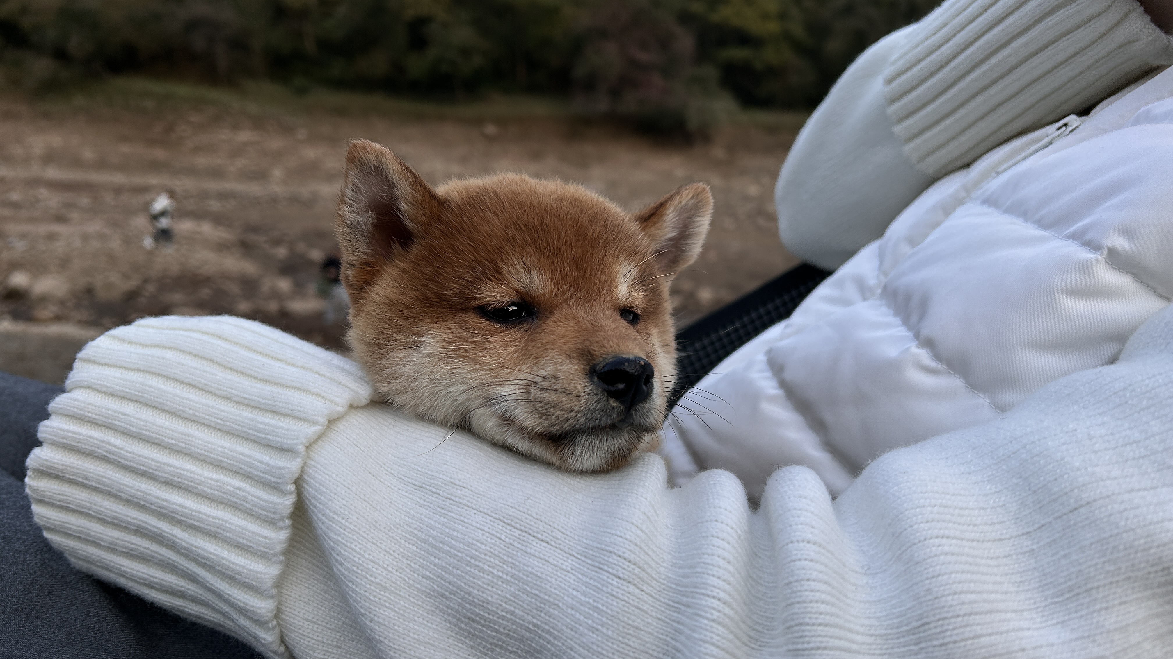 腾家浦